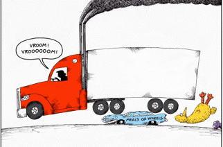 Trump’s budget: Tom Curry’s cartoon