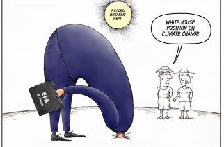 Tom Curry of the Big Bend Gazette, make Politico.com’s The nation’s cartoonists on the week in politics. The Washington Post and The New York Times also made the list