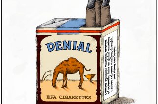 Environmental Protection Agency denial of Climate Change lampooned by Tom Curry in Politico